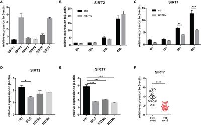 Sirtuin 7 Regulates Nitric Oxide Production and Apoptosis to Promote Mycobacterial Clearance in Macrophages